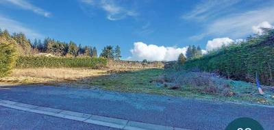 Terrain à Saint-Pal-de-Mons en Haute-Loire (43) de 0 m² à vendre au prix de 99000€ - 1