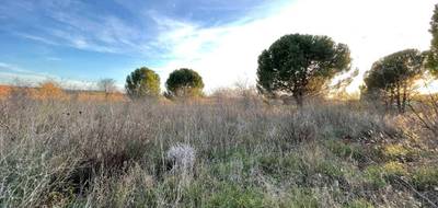 Terrain à Paulhan en Hérault (34) de 2150 m² à vendre au prix de 229950€ - 3