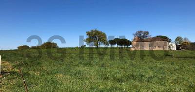 Terrain à Beyries en Landes (40) de 2225 m² à vendre au prix de 38500€ - 1