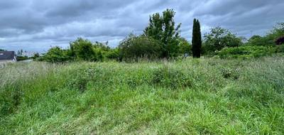 Terrain à Nogent-sur-Loir en Sarthe (72) de 2442 m² à vendre au prix de 54480€ - 3