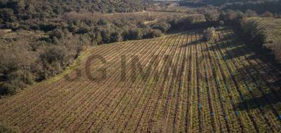 Terrain à Le Bosc en Hérault (34) de 47485 m² à vendre au prix de 120000€ - 3