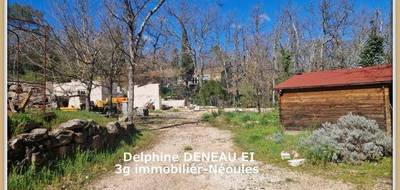 Terrain à Néoules en Var (83) de 2500 m² à vendre au prix de 299000€ - 4