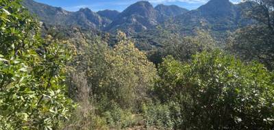 Terrain à Ocana en Corse-du-Sud (2A) de 3842 m² à vendre au prix de 150000€ - 2