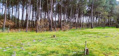 Terrain à Saint-Symphorien en Gironde (33) de 1025 m² à vendre au prix de 104500€ - 2