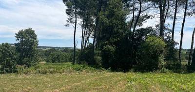 Terrain à Casteljaloux en Lot-et-Garonne (47) de 985 m² à vendre au prix de 50000€ - 3