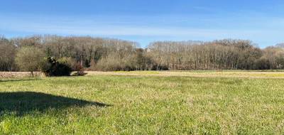 Terrain à Amou en Landes (40) de 4720 m² à vendre au prix de 55000€ - 3