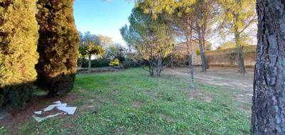 Terrain à Abeilhan en Hérault (34) de 1090 m² à vendre au prix de 149000€ - 2