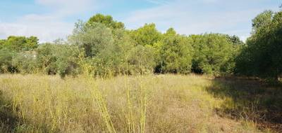 Terrain à Clermont-l'Hérault en Hérault (34) de 2000 m² à vendre au prix de 299900€ - 2