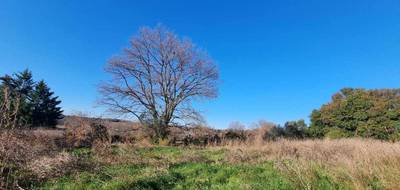 Terrain à Saint-Césaire-de-Gauzignan en Gard (30) de 1450 m² à vendre au prix de 103000€ - 2