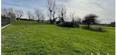 Terrain à Monéteau en Yonne (89) de 1293 m² à vendre au prix de 65000€ - 1