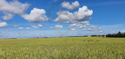 Terrain à Angliers en Vienne (86) de 1500 m² à vendre au prix de 19800€ - 1