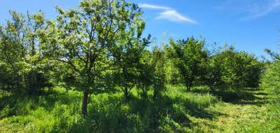 Terrain à Uzès en Gard (30) de 1361 m² à vendre au prix de 148000€ - 1