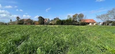 Terrain à Garrey en Landes (40) de 0 m² à vendre au prix de 70600€ - 1