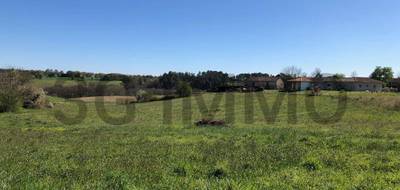 Terrain à Beyries en Landes (40) de 2225 m² à vendre au prix de 38500€ - 2