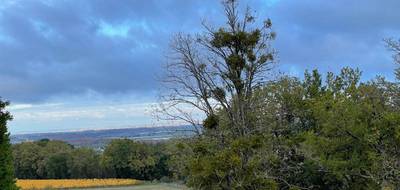 Terrain à Buzet-sur-Baïse en Lot-et-Garonne (47) de 24995 m² à vendre au prix de 31000€ - 3