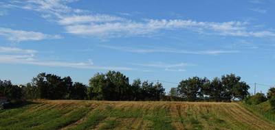 Terrain à L'Isle-Jourdain en Gers (32) de 2000 m² à vendre au prix de 96000€ - 3