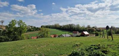 Terrain à Guise en Aisne (02) de 10000 m² à vendre au prix de 85000€ - 4