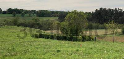 Terrain à Beyries en Landes (40) de 2225 m² à vendre au prix de 38500€ - 3