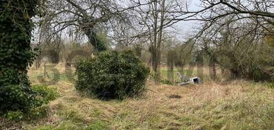 Terrain à Villenauxe-la-Grande en Aube (10) de 0 m² à vendre au prix de 12000€ - 1