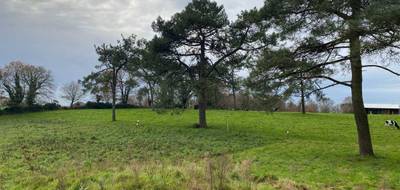 Terrain à Grand-Champ en Morbihan (56) de 796 m² à vendre au prix de 132500€ - 3