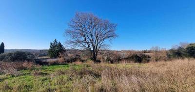 Terrain à Saint-Césaire-de-Gauzignan en Gard (30) de 1450 m² à vendre au prix de 103000€ - 3