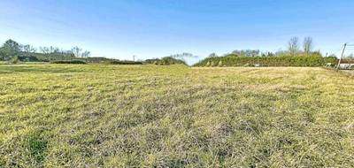 Terrain à Arsague en Landes (40) de 1860 m² à vendre au prix de 29900€ - 3