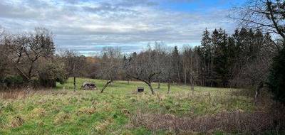 Terrain à Petitmont en Meurthe-et-Moselle (54) de 1050 m² à vendre au prix de 20000€ - 3