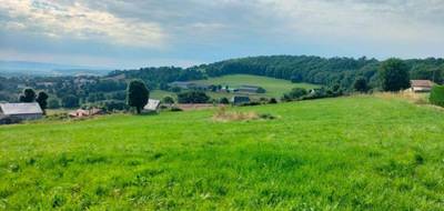 Terrain à Saint-Flour en Cantal (15) de 9101 m² à vendre au prix de 236500€ - 1