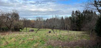 Terrain à Petitmont en Meurthe-et-Moselle (54) de 1050 m² à vendre au prix de 20000€ - 3