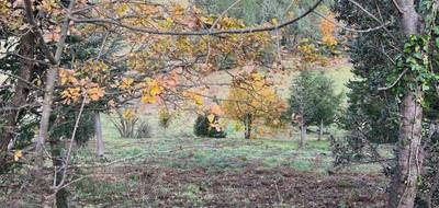 Terrain à Olargues en Hérault (34) de 7661 m² à vendre au prix de 20000€ - 4