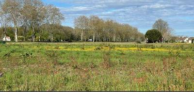 Terrain à Castétis en Pyrénées-Atlantiques (64) de 1485 m² à vendre au prix de 35000€ - 2