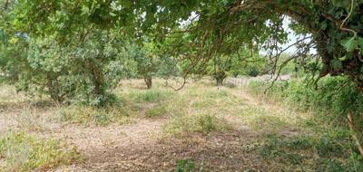 Terrain à Verfeuil en Gard (30) de 3166 m² à vendre au prix de 160500€ - 2