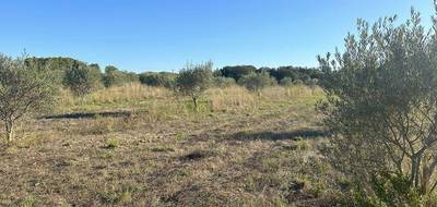 Terrain à Pouzols en Hérault (34) de 6825 m² à vendre au prix de 30800€ - 3