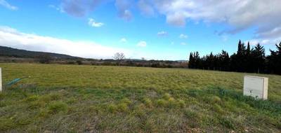 Terrain à Pouzols-Minervois en Aude (11) de 2421 m² à vendre au prix de 117000€ - 4