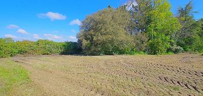 Terrain à L'Île-d'Olonne en Vendée (85) de 986 m² à vendre au prix de 149900€ - 2