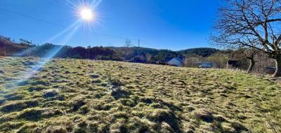 Terrain à Monts-de-Randon en Lozère (48) de 700 m² à vendre au prix de 34000€ - 3