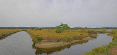 Terrain à Les Sables-d'Olonne en Vendée (85) de 30350 m² à vendre au prix de 49900€ - 3