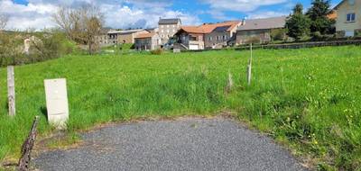 Terrain à Grandrieu en Lozère (48) de 1047 m² à vendre au prix de 29000€ - 3