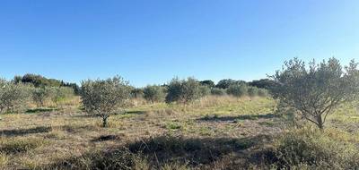 Terrain à Pouzols en Hérault (34) de 6825 m² à vendre au prix de 30800€ - 1