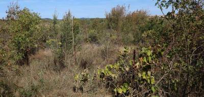 Terrain à La Livinière en Hérault (34) de 2070 m² à vendre au prix de 69000€ - 3