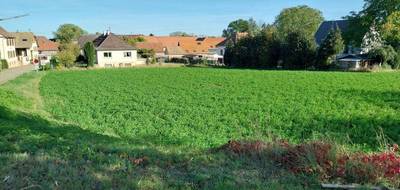 Terrain à Handschuheim en Bas-Rhin (67) de 705 m² à vendre au prix de 244520€ - 2