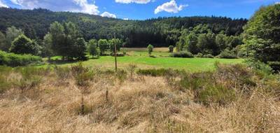 Terrain à Pierrefiche en Lozère (48) de 4839 m² à vendre au prix de 35000€ - 2