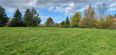 Terrain à Saint-Mary-le-Plain en Cantal (15) de 4000 m² à vendre au prix de 107000€ - 2