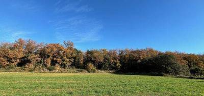 Terrain à Uzès en Gard (30) de 16500 m² à vendre au prix de 57000€ - 3