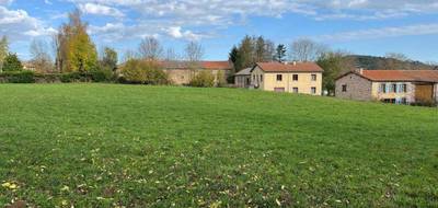 Terrain à Saint-Mary-le-Plain en Cantal (15) de 4000 m² à vendre au prix de 107000€ - 3