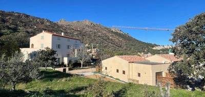 Terrain à Santa-Reparata-di-Balagna en Haute-Corse (2B) de 1197 m² à vendre au prix de 235000€ - 4