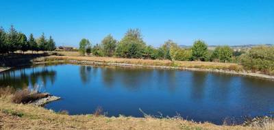 Terrain à Saint-Médard-en-Forez en Loire (42) de 8000 m² à vendre au prix de 95000€ - 2