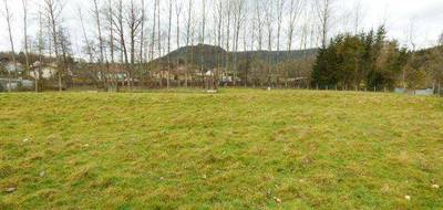 Terrain à Moyenmoutier en Vosges (88) de 2106 m² à vendre au prix de 49950€ - 3