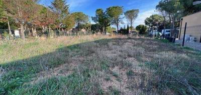 Terrain à Marseillan en Hérault (34) de 1138 m² à vendre au prix de 399000€ - 1