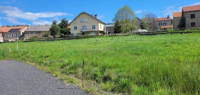 Terrain à Grandrieu en Lozère (48) de 1047 m² à vendre au prix de 29000€ - 4